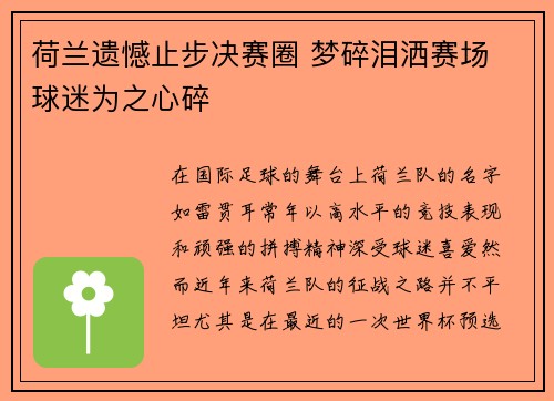 荷兰遗憾止步决赛圈 梦碎泪洒赛场 球迷为之心碎