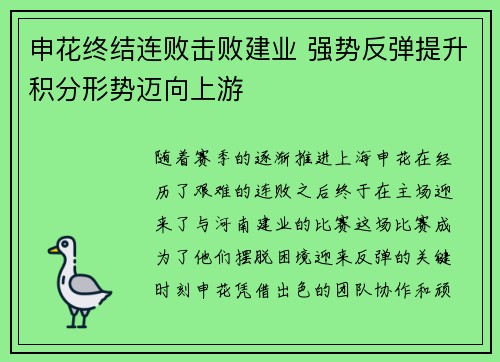 申花终结连败击败建业 强势反弹提升积分形势迈向上游