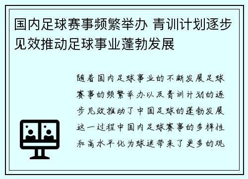 国内足球赛事频繁举办 青训计划逐步见效推动足球事业蓬勃发展