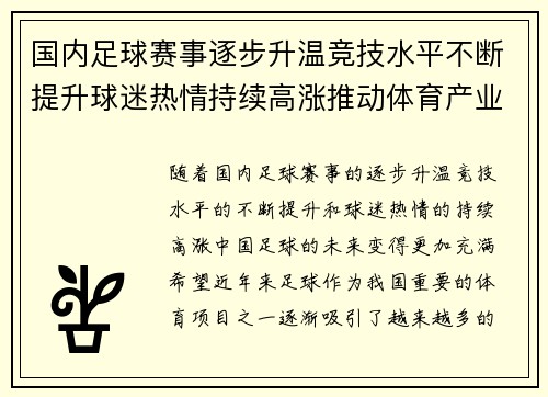 国内足球赛事逐步升温竞技水平不断提升球迷热情持续高涨推动体育产业新发展