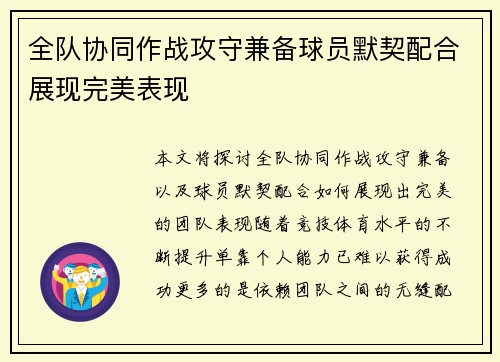 全队协同作战攻守兼备球员默契配合展现完美表现