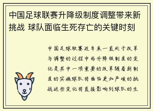 中国足球联赛升降级制度调整带来新挑战 球队面临生死存亡的关键时刻